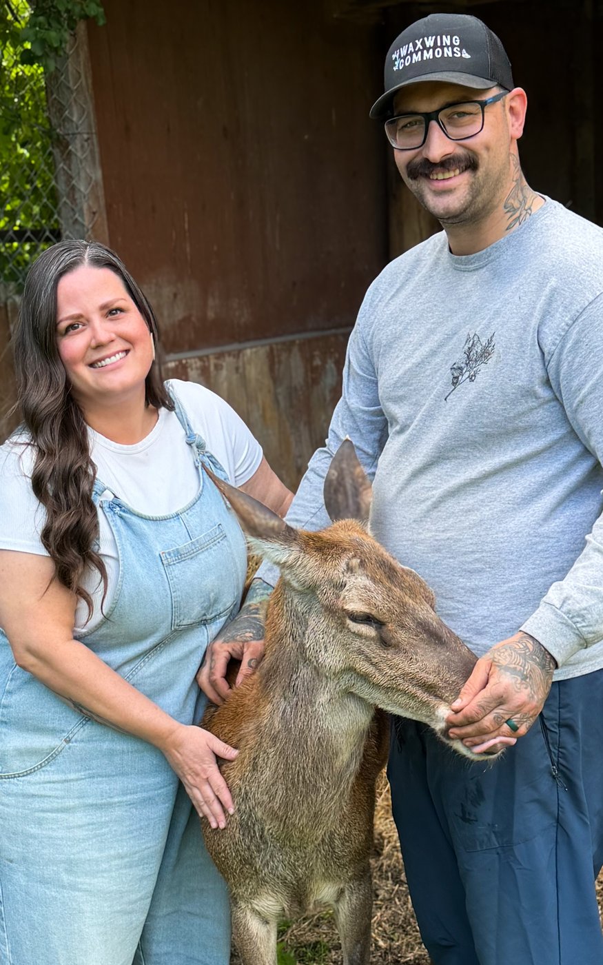 Conflit et mystère quant au sort des centaines de cerfs de Marineland