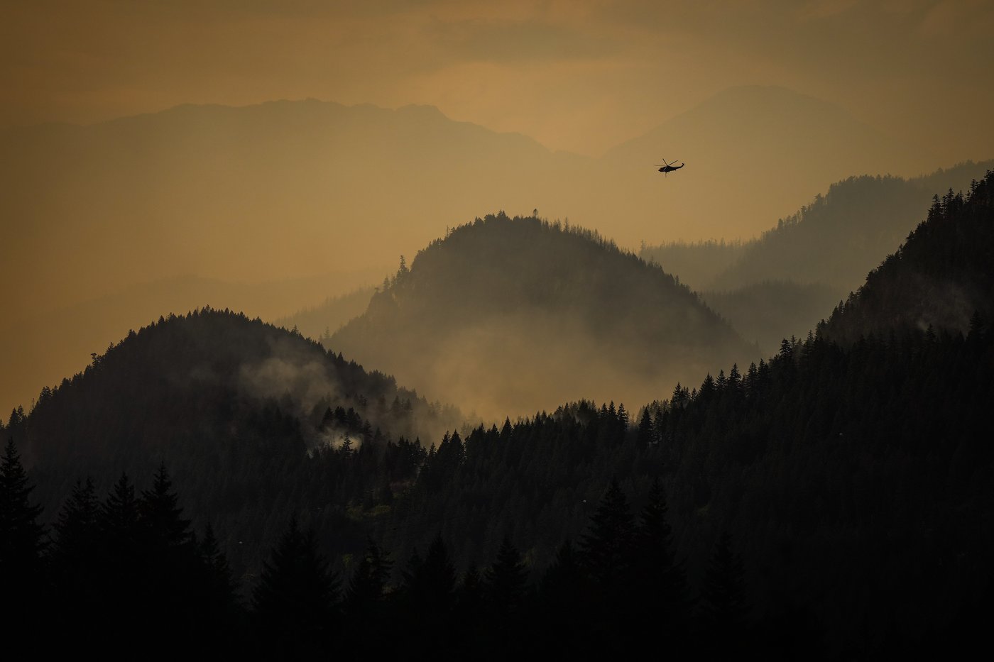 La foudre provoque une centaine d'incendies en Colombie-Britannique