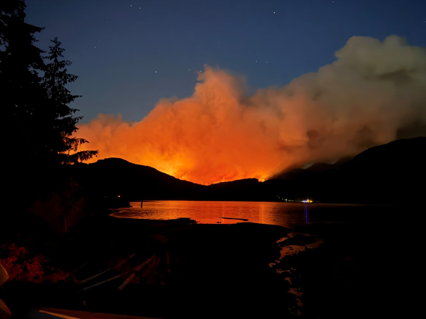 La saison des feux de forêt est jusqu'à présent jugée comme maîtrisable