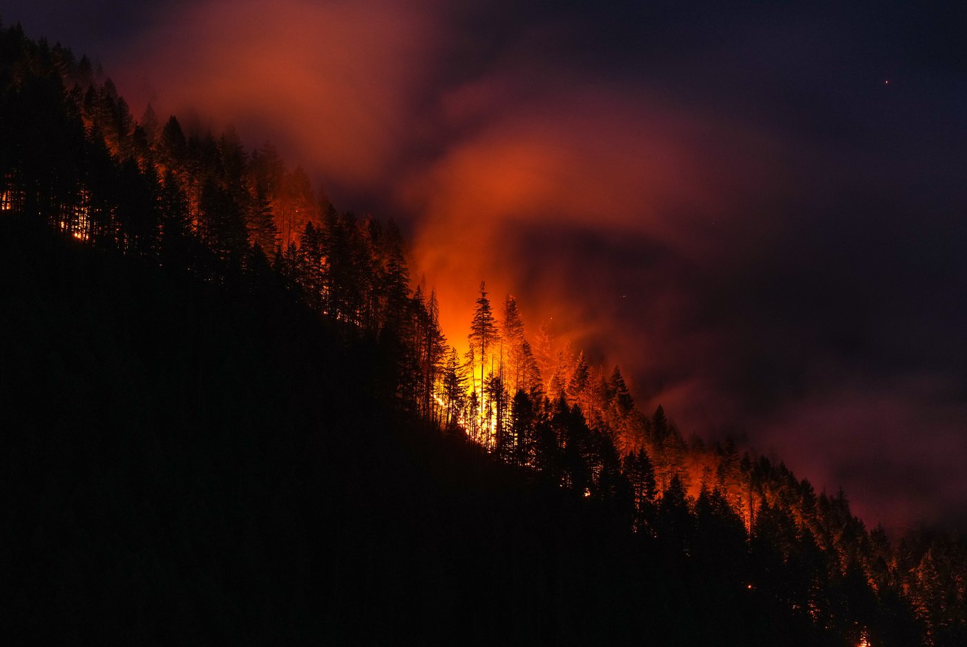La sécheresse et les vents risquent d'aggraver la situation des feux en C.-B.