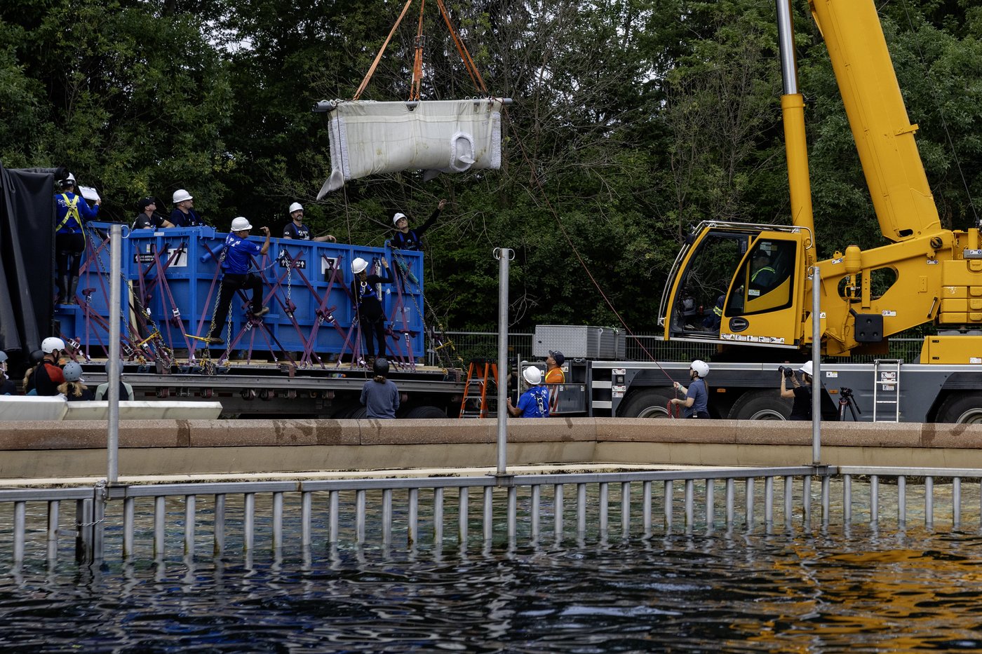 Six bélugas de Marineland nagent désormais dans leur nouveau foyer aux États-Unis