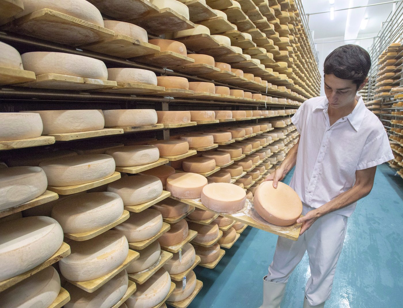 La Route des fromages permet de découvrir des fromageries locales à travers le Québec