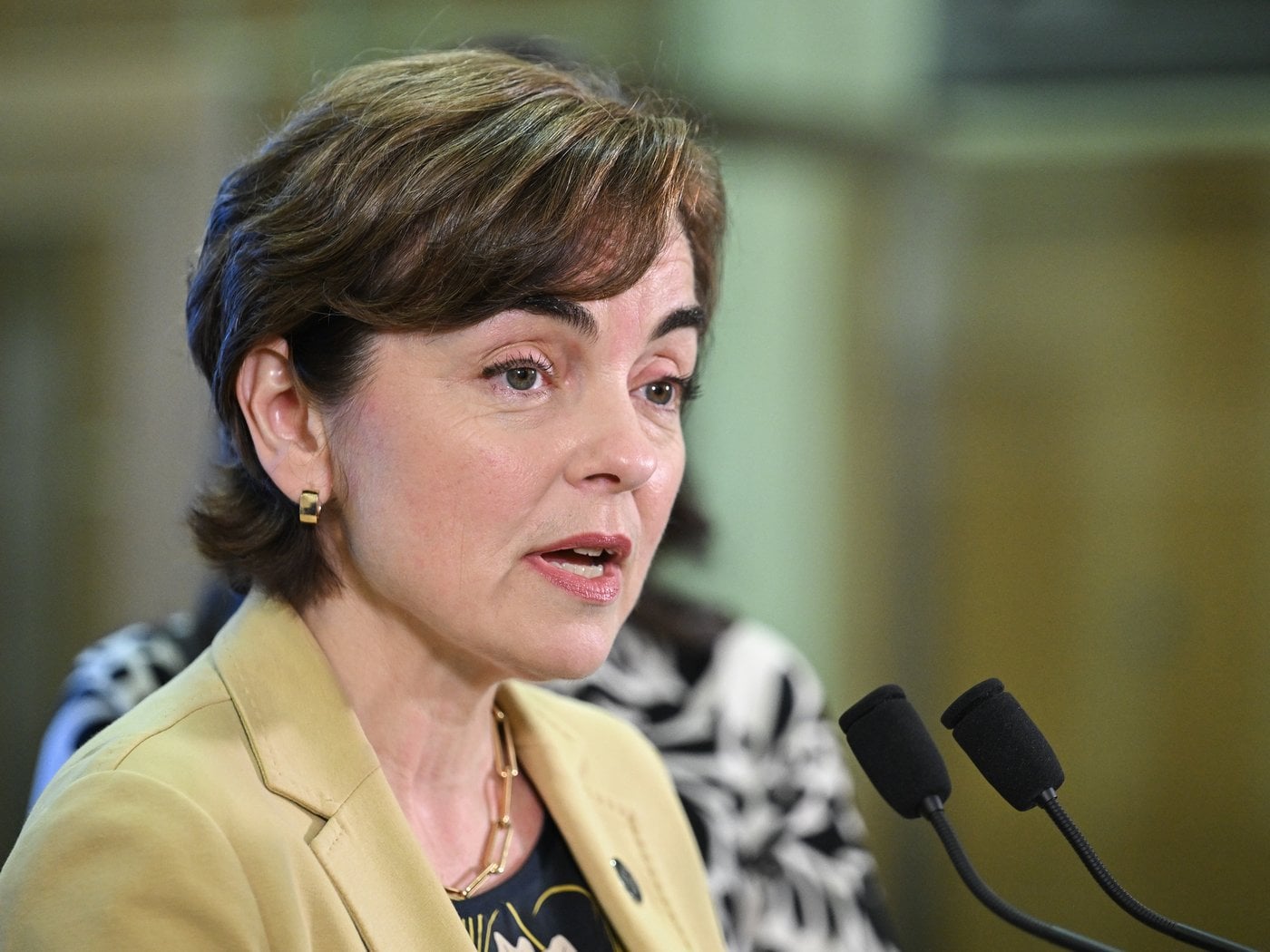 Christine Fréchette annonce des candidats pour la région de Chaudière-Appalaches