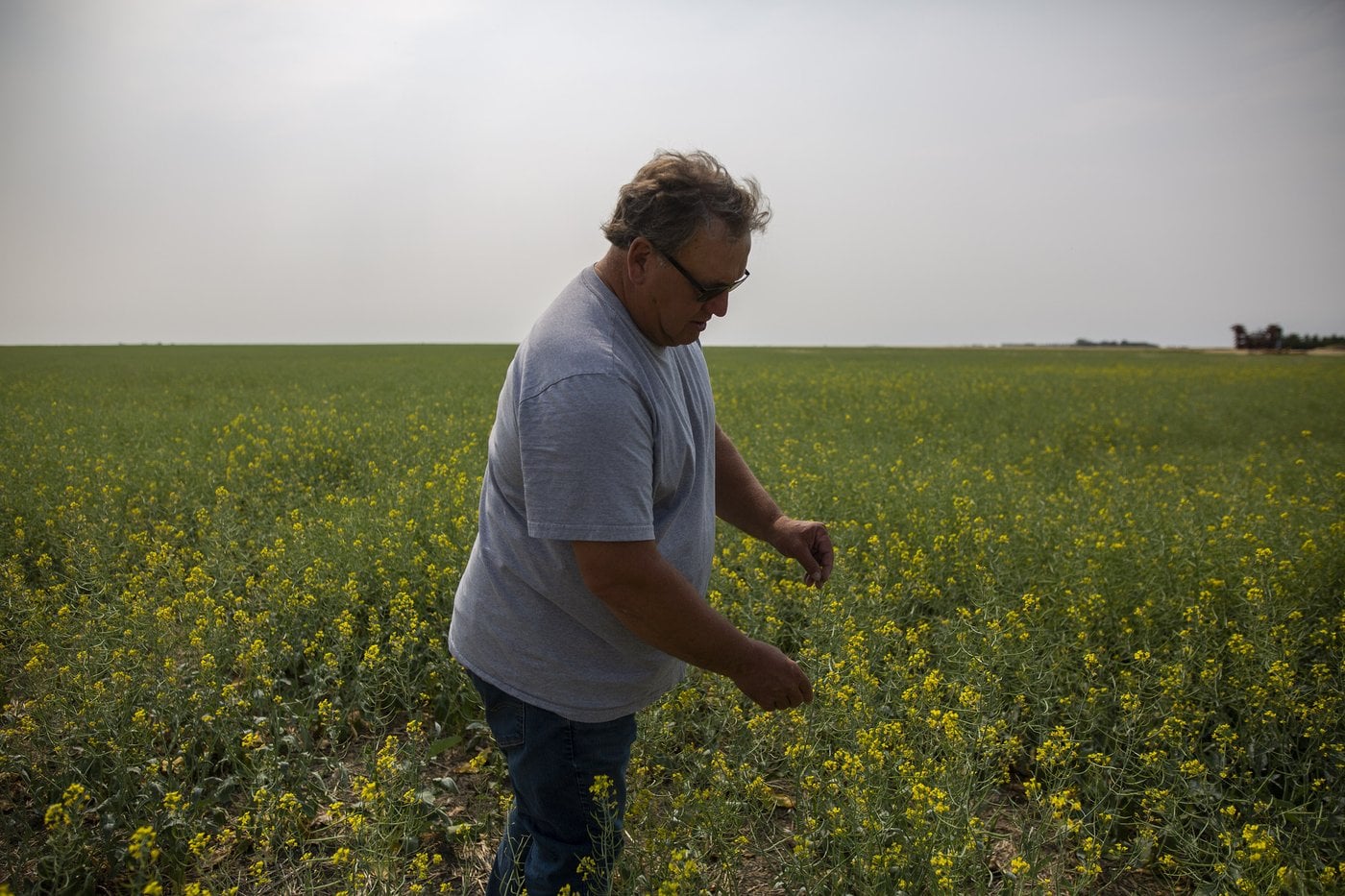 Le sénateur Todd Lewis, de la Saskatchewan, s'est éteint à l'âge de 65 ans