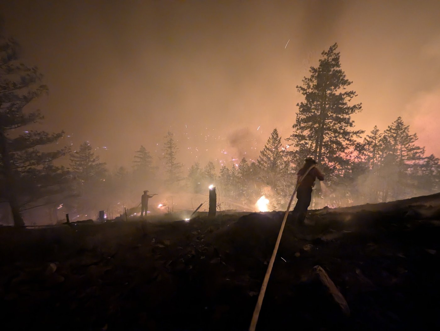 La saison des feux de forêt devrait être la quatrième pire jamais enregistrée