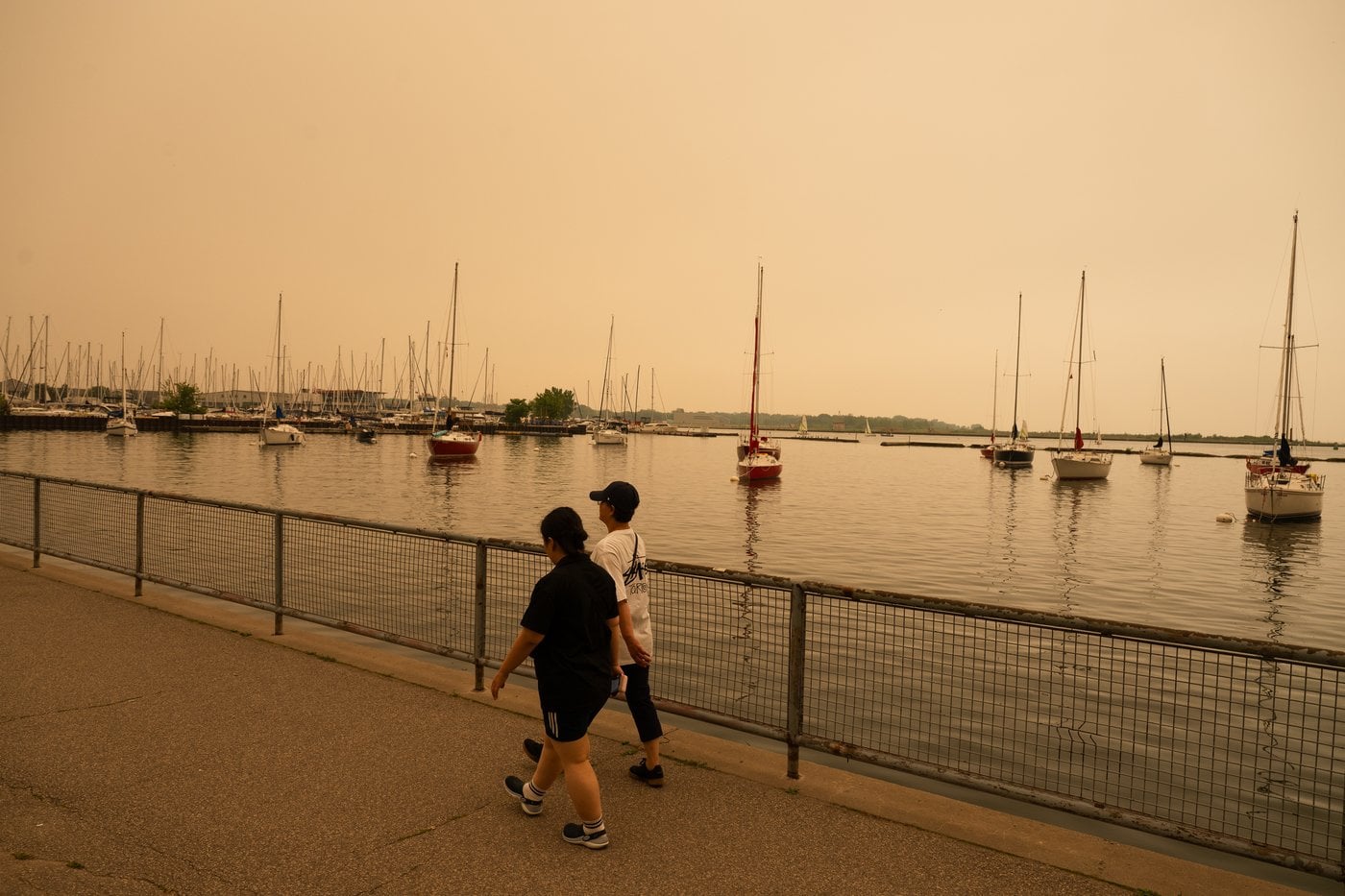 L'odeur chimique de la fumée des incendies de forêt est naturelle