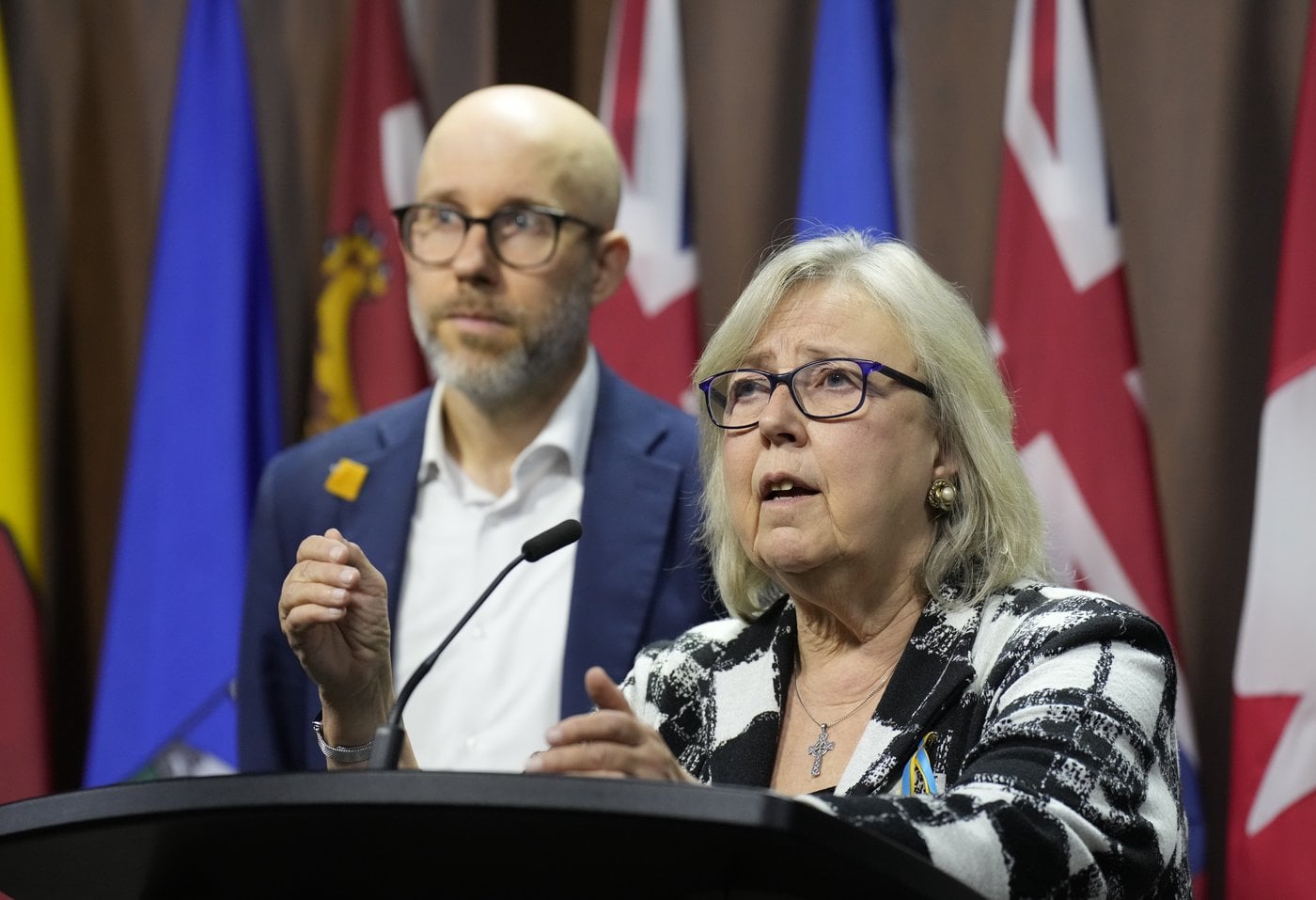 Deux candidats s'affronteront dans la course à la direction du Parti vert du Canada