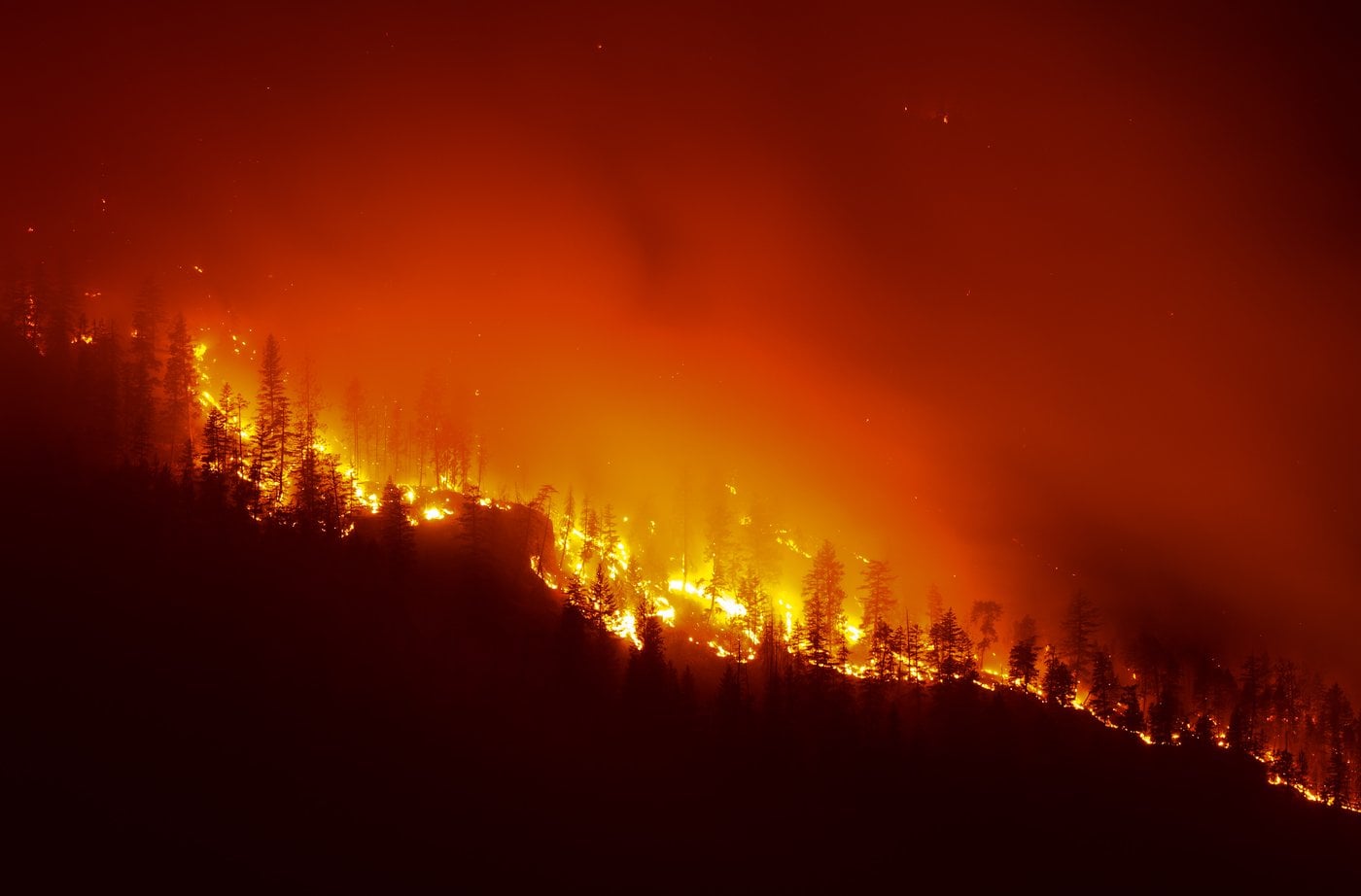 Le réchauffement climatique a doublé la probabilité des feux en Ontario et en T.N.O.