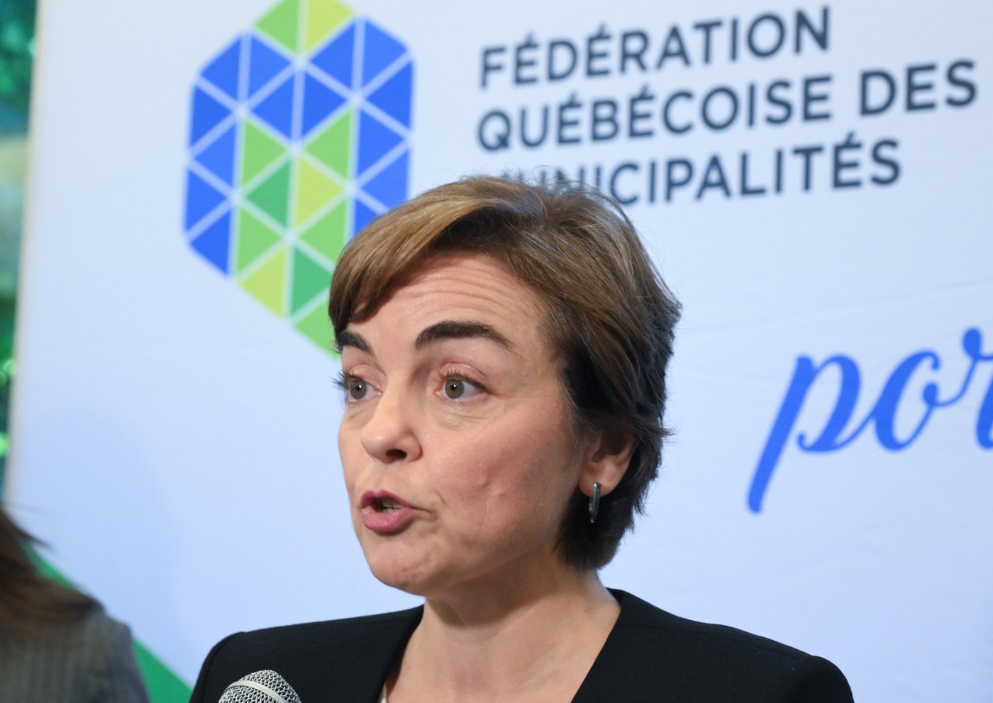 Possible ingérence étrangère: Christine Fréchette «très préoccupée»