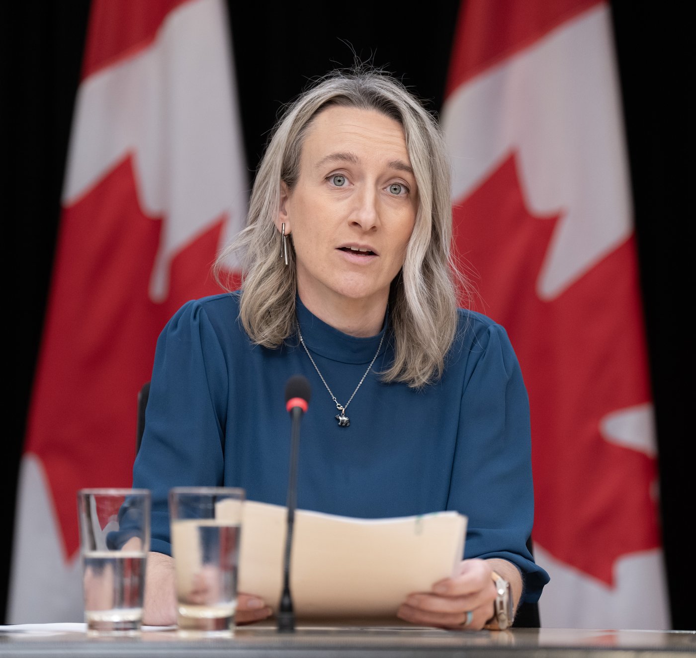 Ottawa annonce une enveloppe de 5 millions $ pour des trousses d'autodépistage du VIH