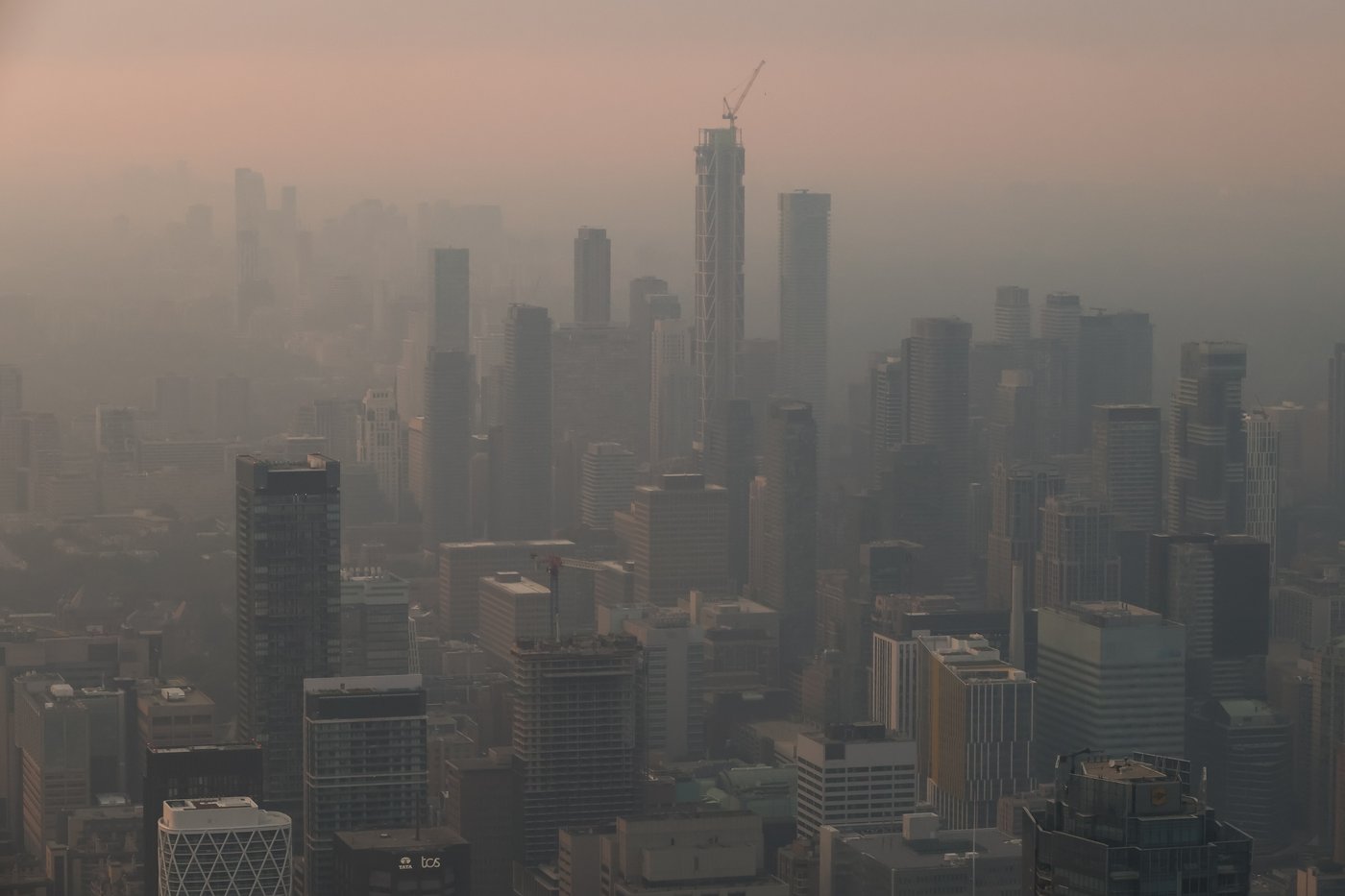 La pollution des feux de forêt serait plus dangereuse pour la santé