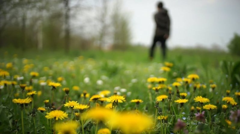 Défi Pissenlits: au printemps, on retarde la tonte