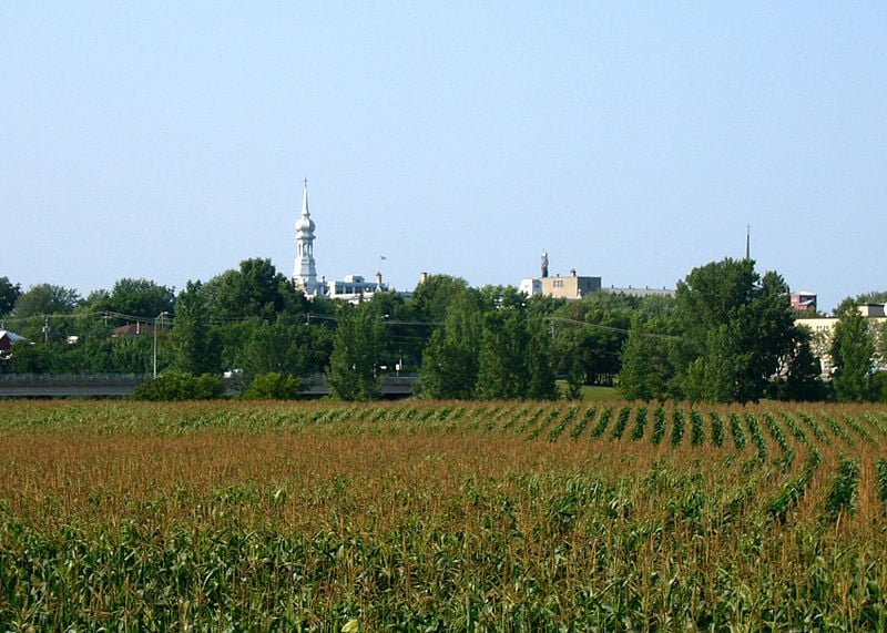 Se former tant à l’école qu’au champ à l'École d’agriculture de Nicolet