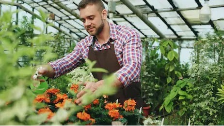 Québec Vert demande la réouverture de tous les canaux de distribution des producteurs de végétaux du Québec