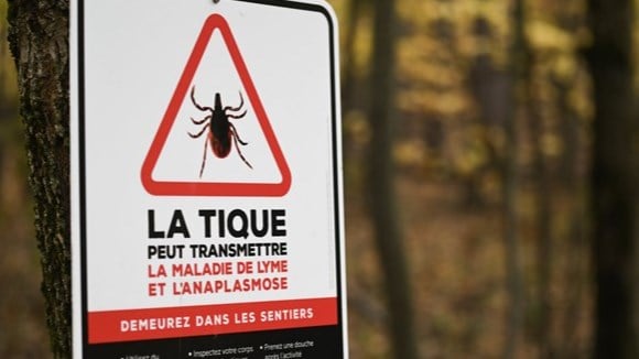 Québec lance un appel à la prudence concernant les piqûres de tiques et de moustiques