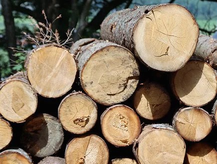 Le Ministère rappelle que la récolte de bois de chauffage est limitée aux essences prescrites dans les secteurs désignés sur les documents liés au permis.