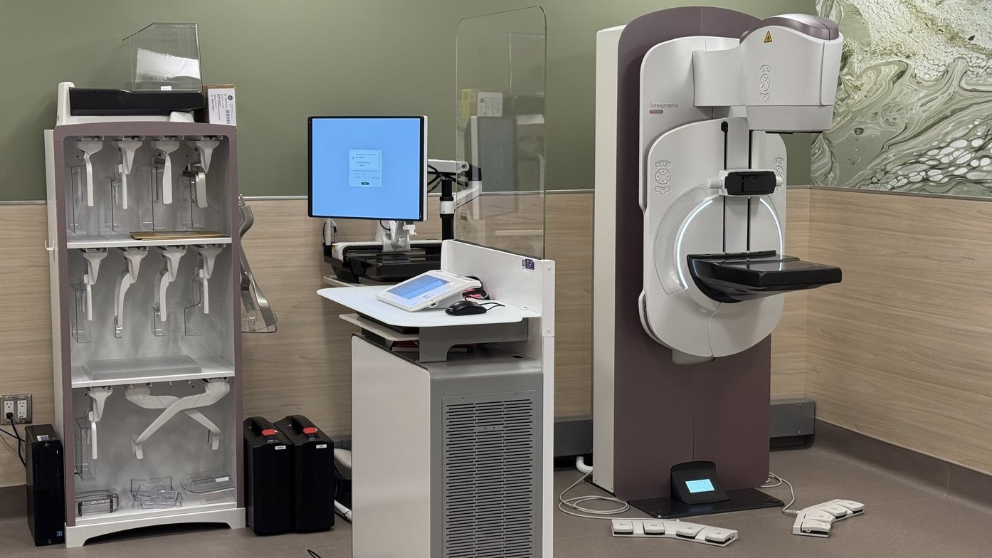 Cancer du sein: l'obésité empêcherait le corps d'éliminer les cellules dangereuses