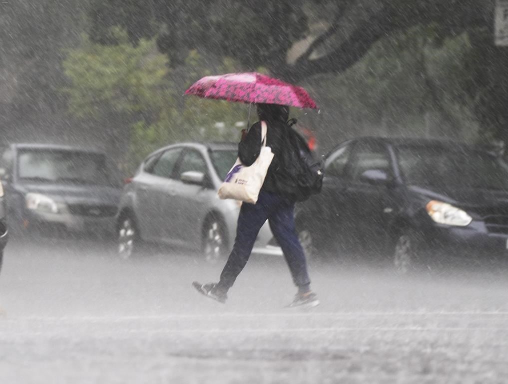 La pluie fera son retour dans plusieurs régions du Québec cette fin de semaine