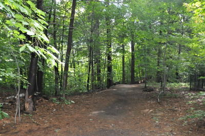 (Photo Josiane Yelle) La forêt du Grand Coteau a fait couler beaucoup d encre.