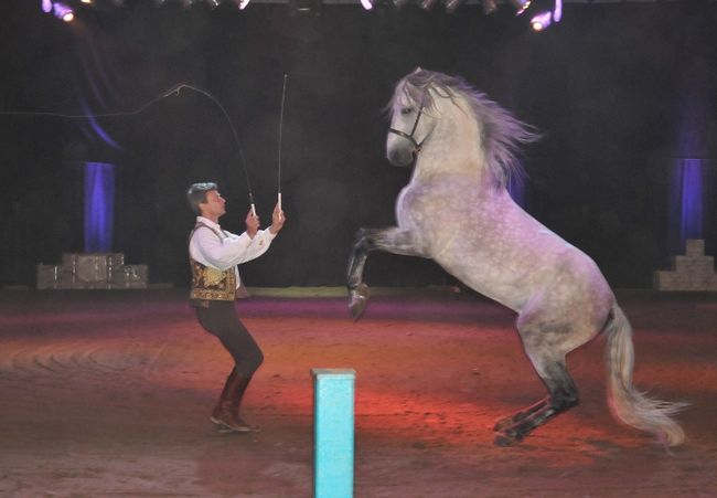 Innocenti Spectacle équestre débarque à Blainville