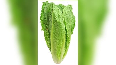 L'Agence de santé publique demande de ne plus consommer de laitue romaine