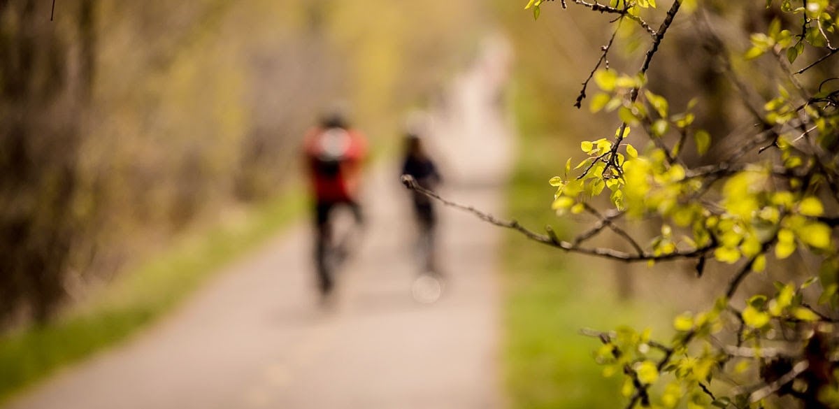 Cet été particulier amènera de nombreux visiteurs de proximité. Les cyclistes aguerris devront partager la piste avec familles et néophytes. 