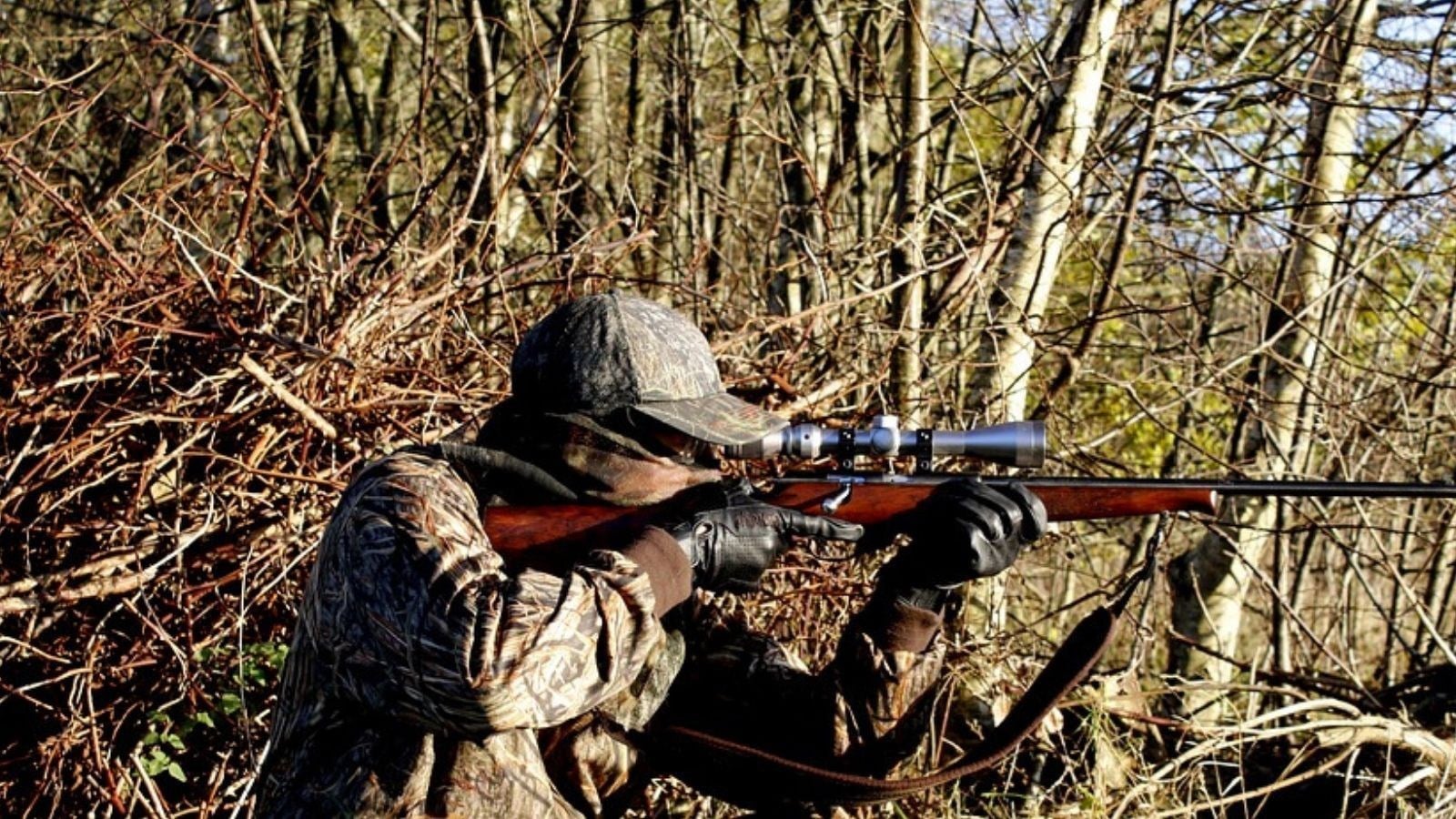 Chasse et piégeage : Québec reconduit l’enregistrement en ligne du gibier
