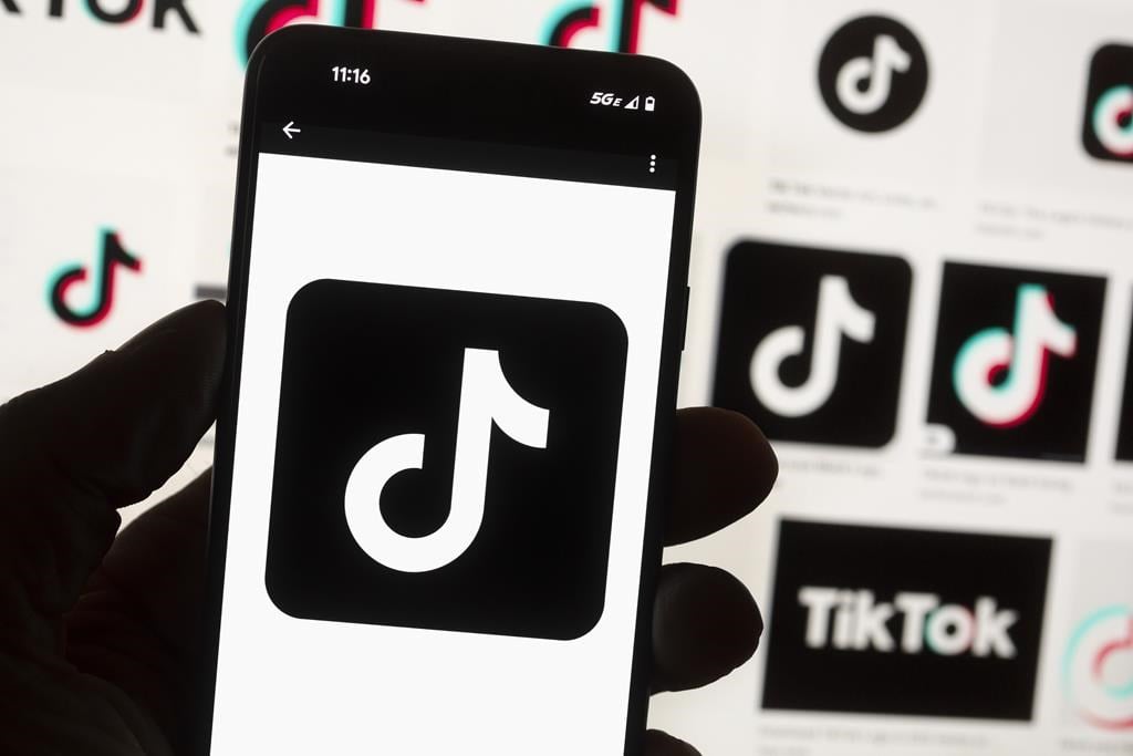 TikTok visée par une enquête fédérale-provinciale sur la protection de la vie privée