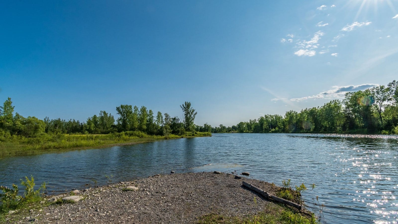Une hypothèse retenue pour la mortalité de poissons au lac Fauvel