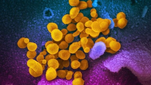 Les ultrasons pourraient être utilisés pour combattre les virus