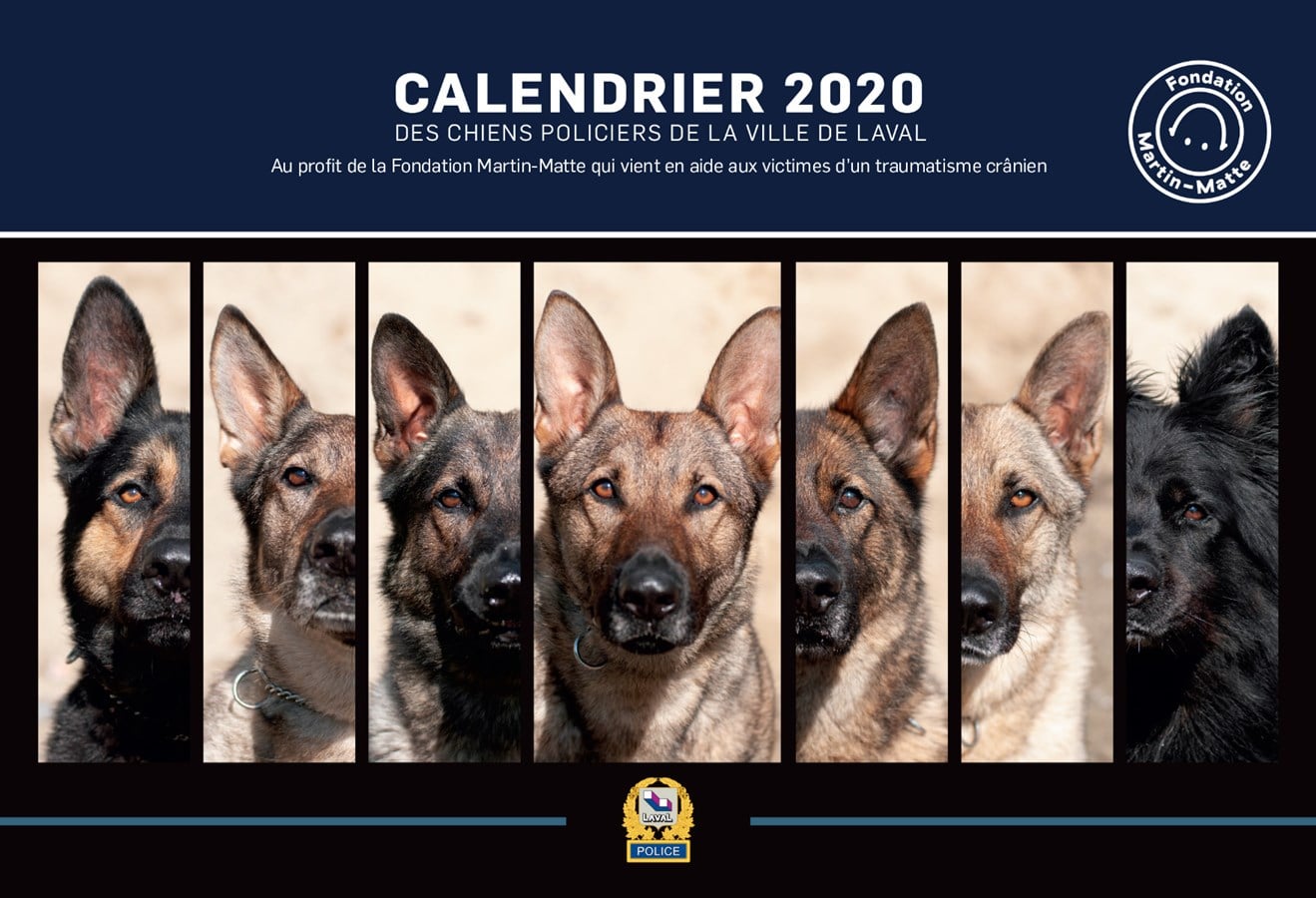 Le calendrier 2020 des maîtres-chiens est désormais disponible. La vente des calendriers permettra à la Fondation Martin Matte de financer les loisirs et le répit des personnes qui ont vécu un traumatisme crânien.