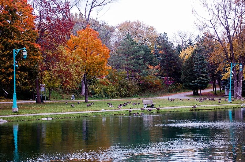 Admirer les couleurs d'automne à Laval