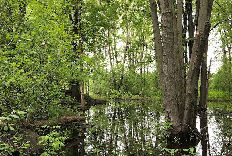 La Ville de Laval est officiellement propriétaire de l’île Locas