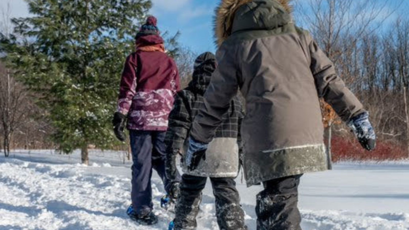 Les activités dans les différents bois de Laval débutent en janvier 2026. 