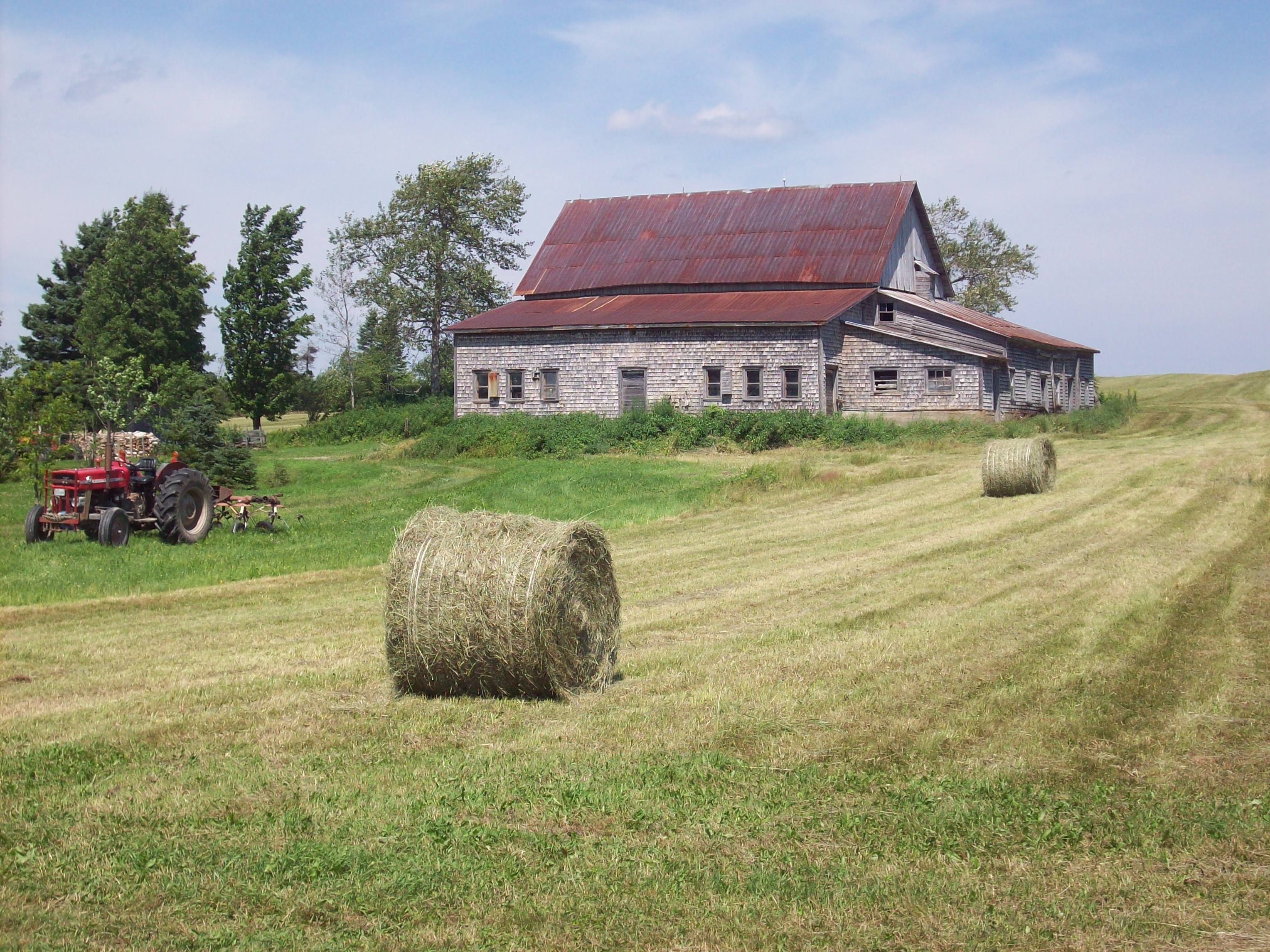 La fenaison