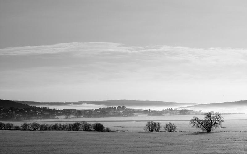 Paysage brumeux