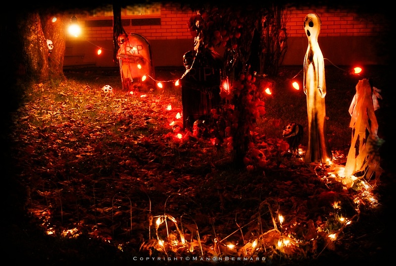 Halloween 2008