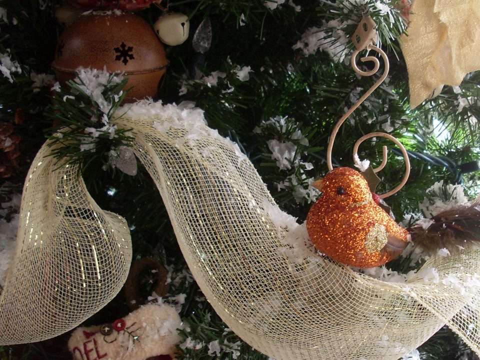 Noël