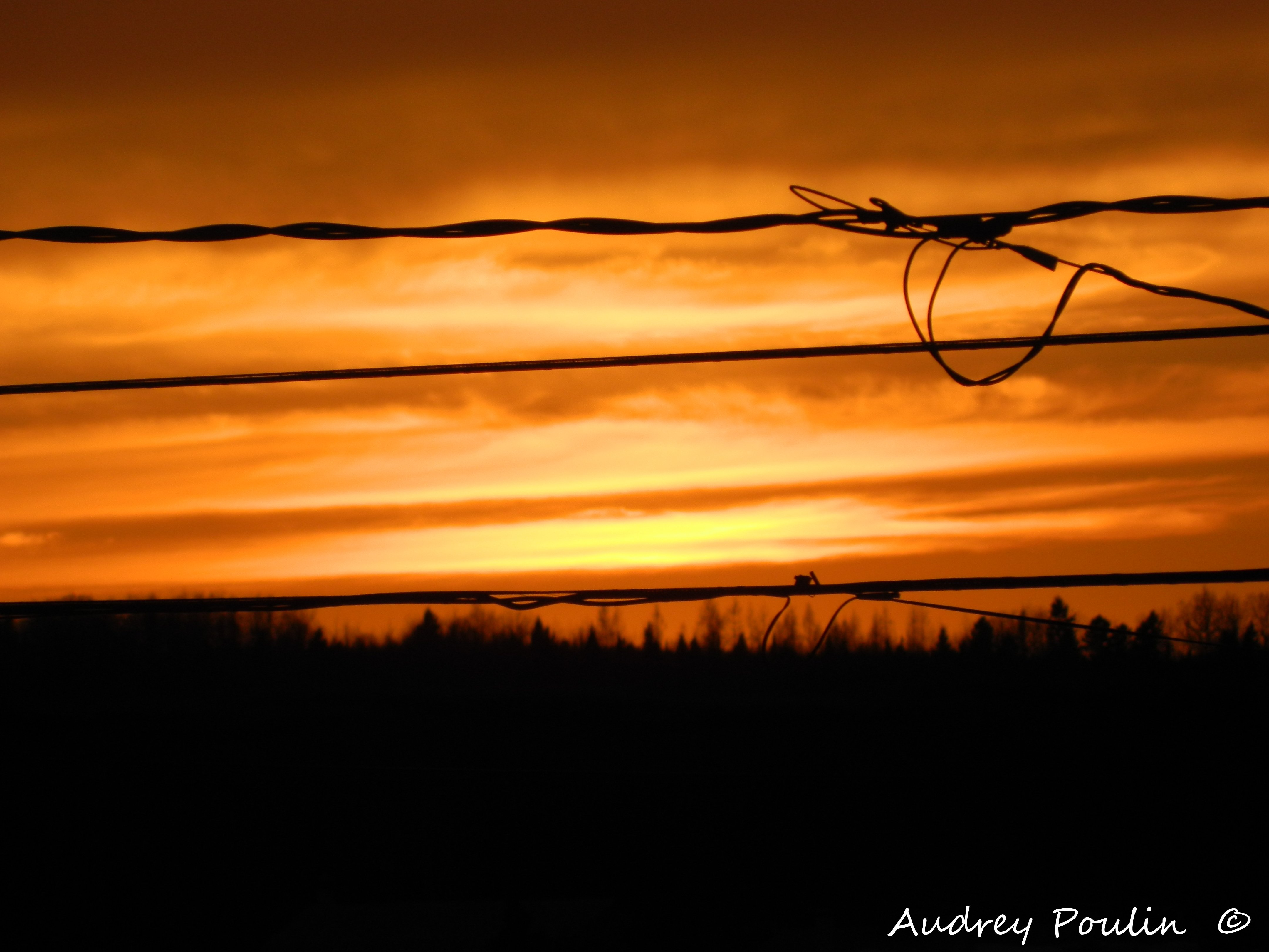 Couché de soleil