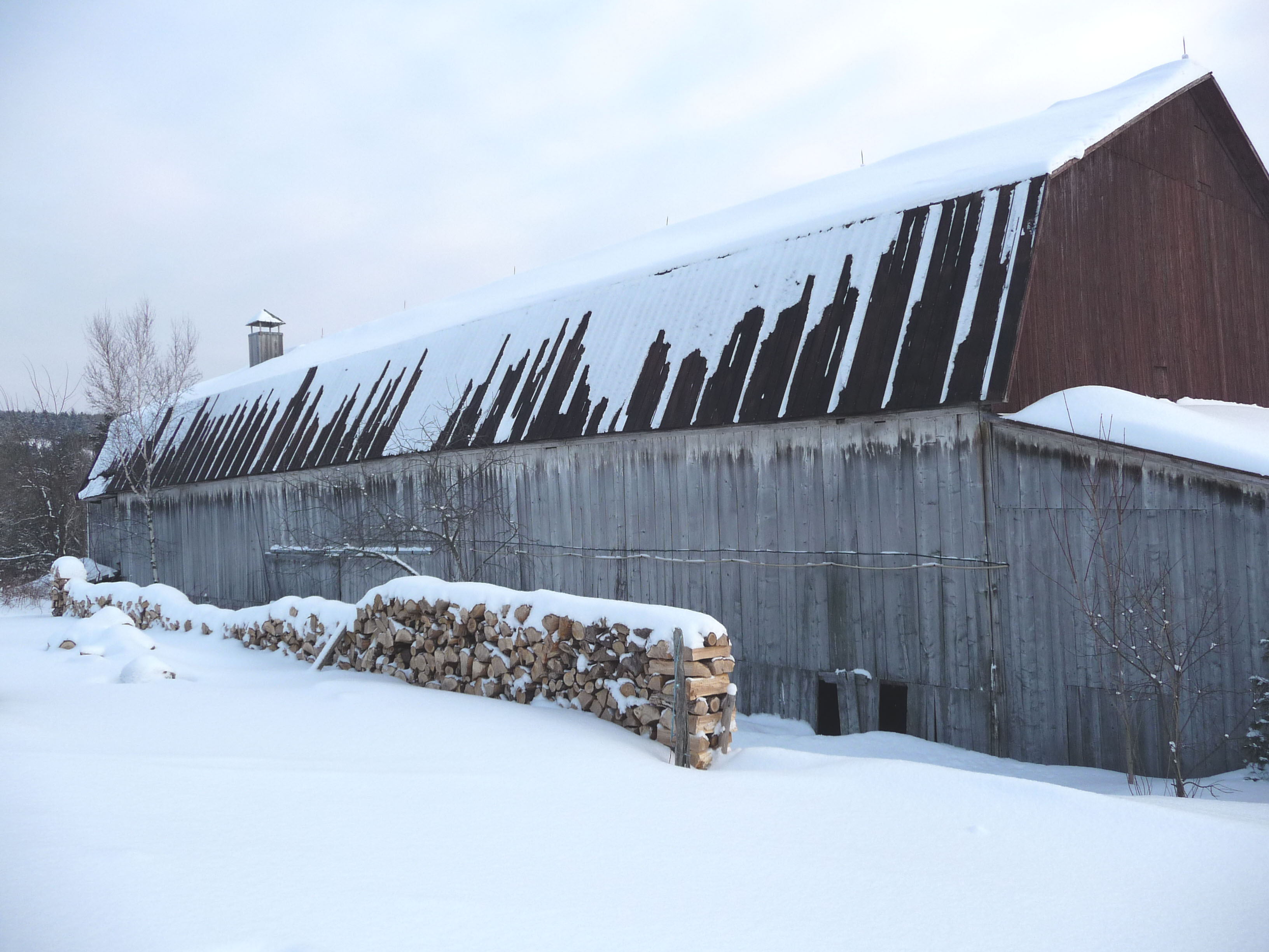 Beauté de l'hiver