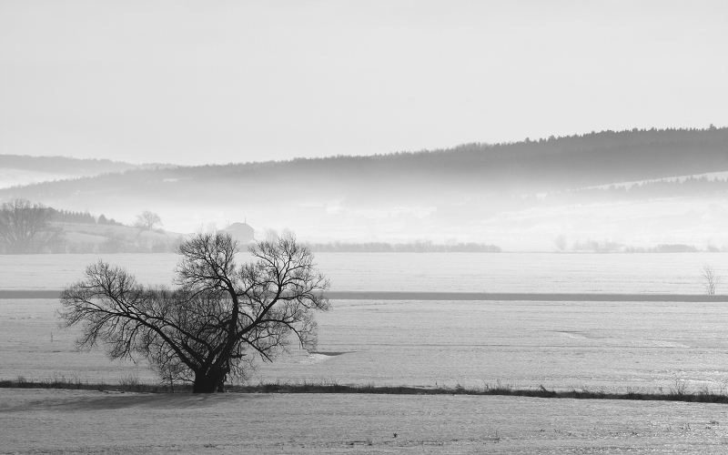 Paysage brumeux