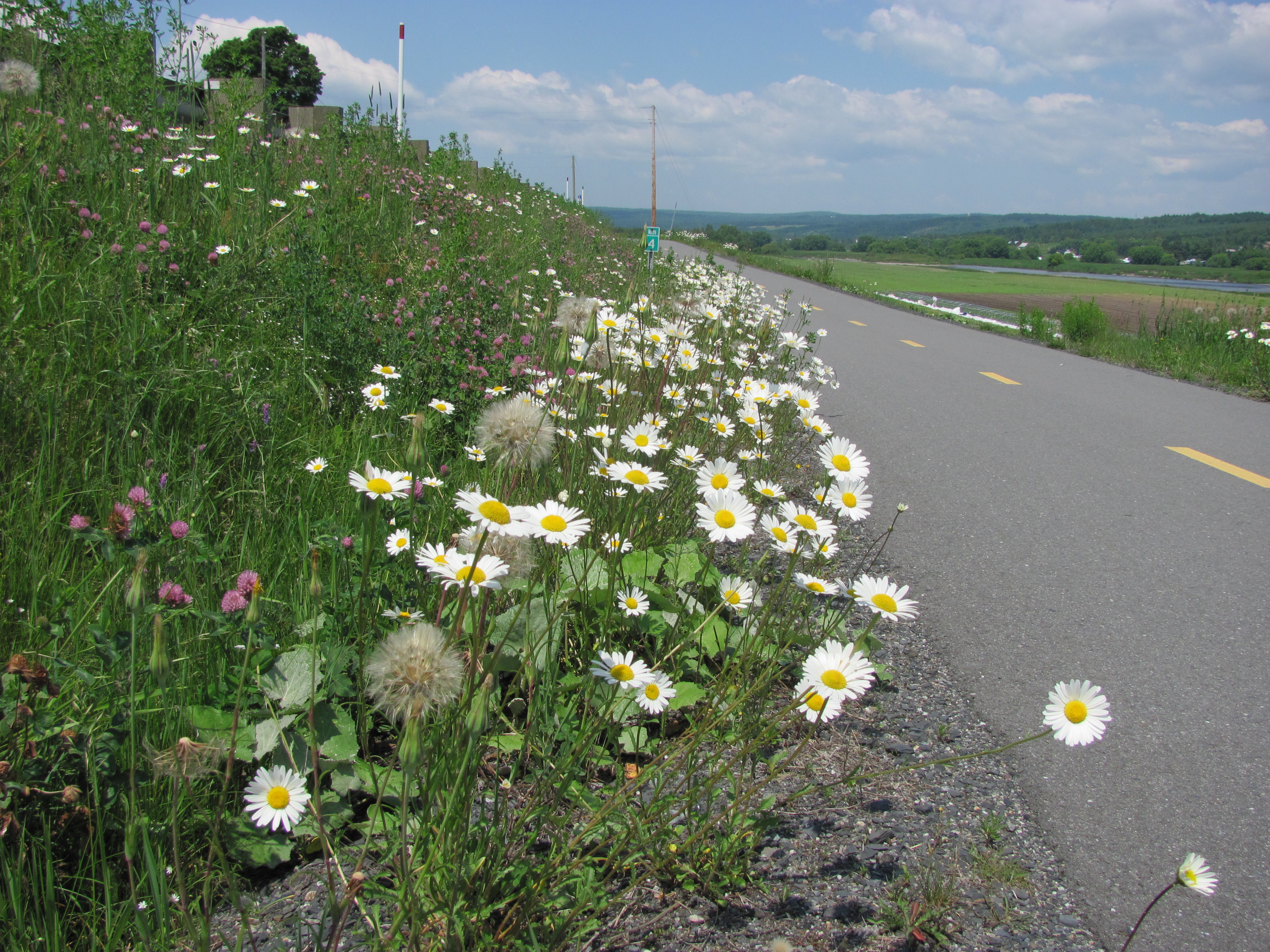 Chemin