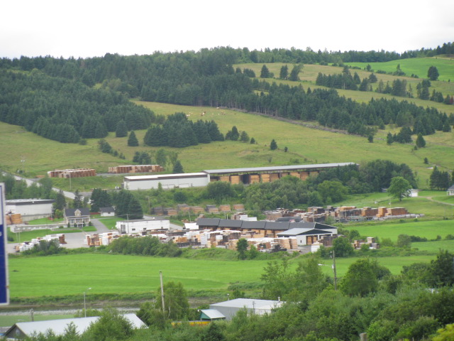 Usine de bois