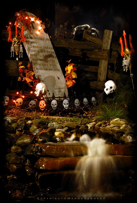 Halloween 2008