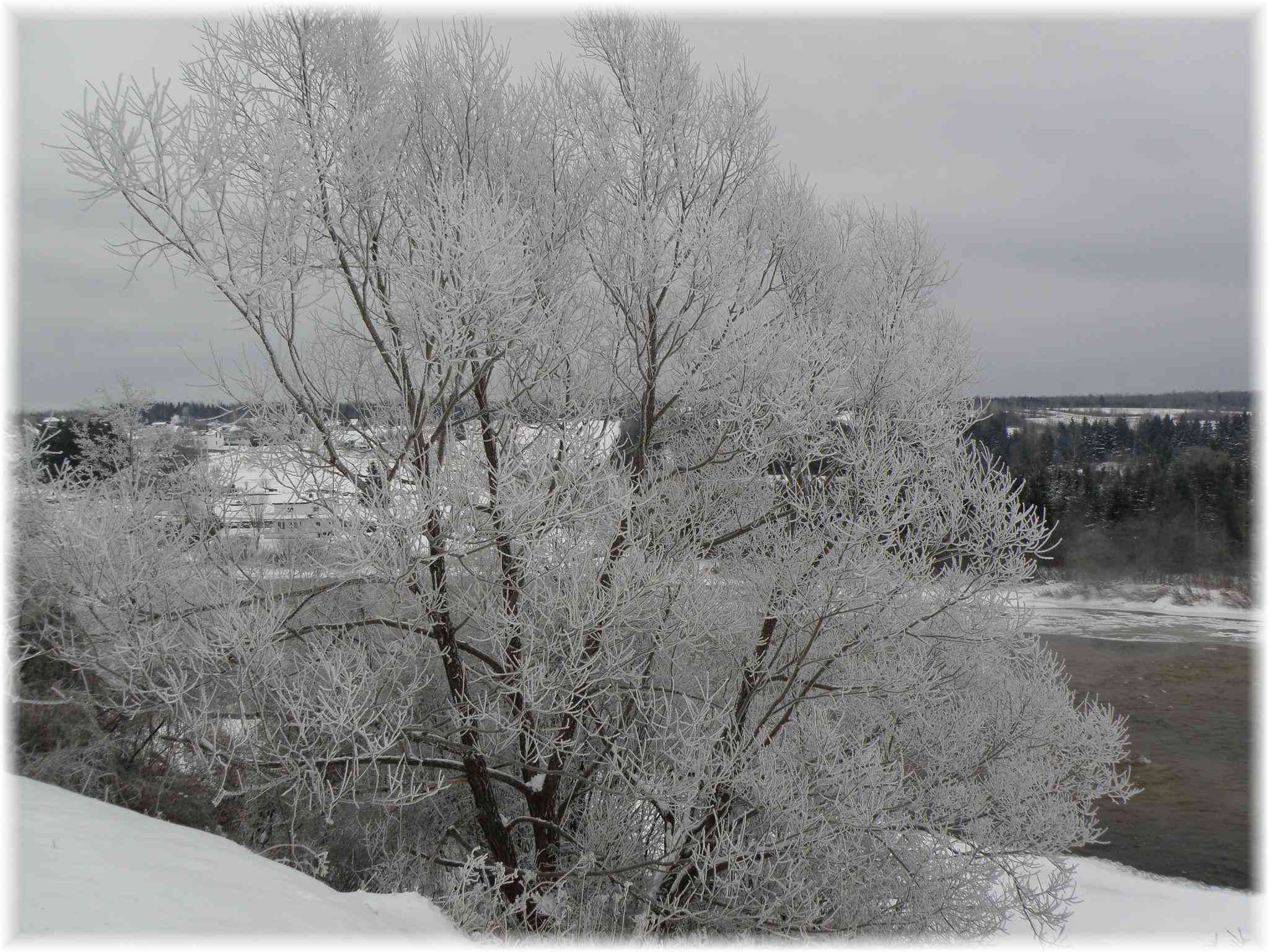 Matin froid d'hiver