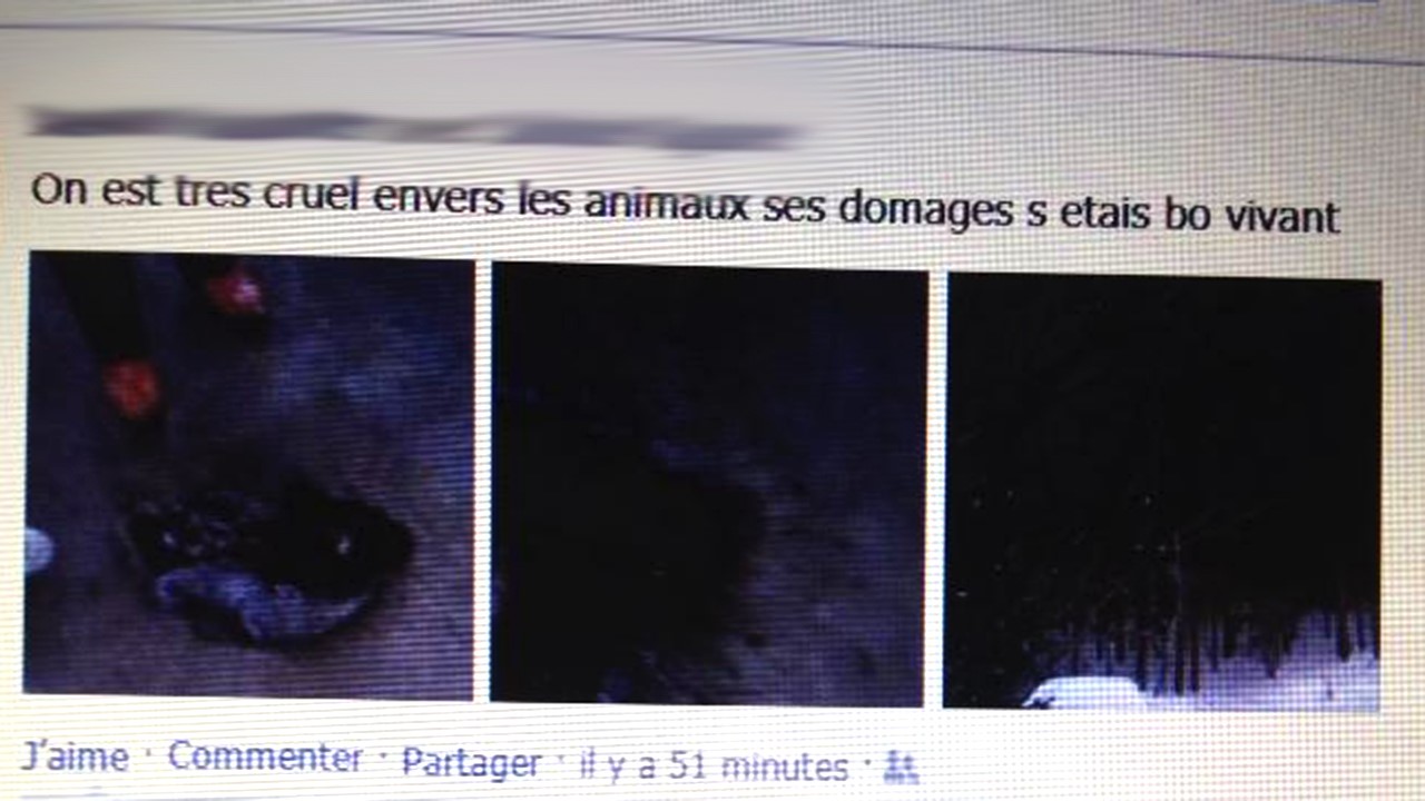 Un des assaillants vantant l'exploit sur Facebook.