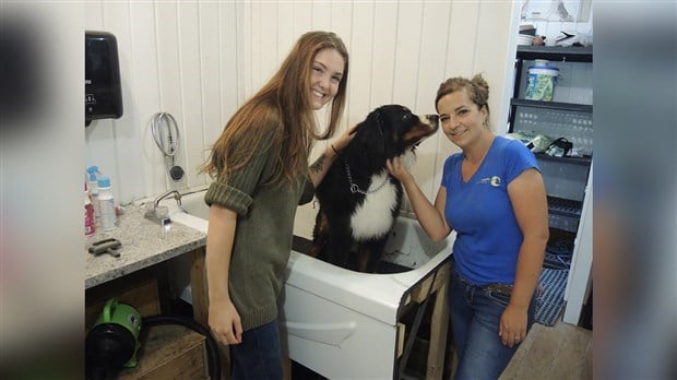 Kelly Larochelle, employée, et Cynthia Donahue, propriétaire de la garderie pour chiens Le Chien d'Or. 