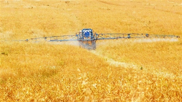 Les producteurs de grains en discussion avec le gouvernement du Québec