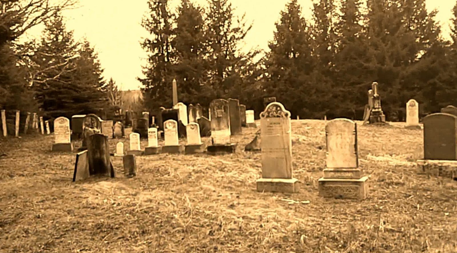 Normand DeLessard présente le cimetière Marlow de Saint-Théophile