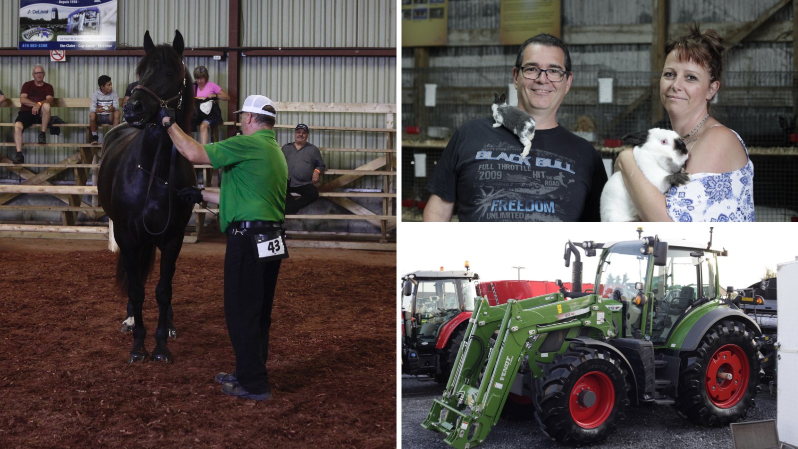 La 55e Exposition agricole de Beauce mettra à l’honneur le travail des agriculteurs 